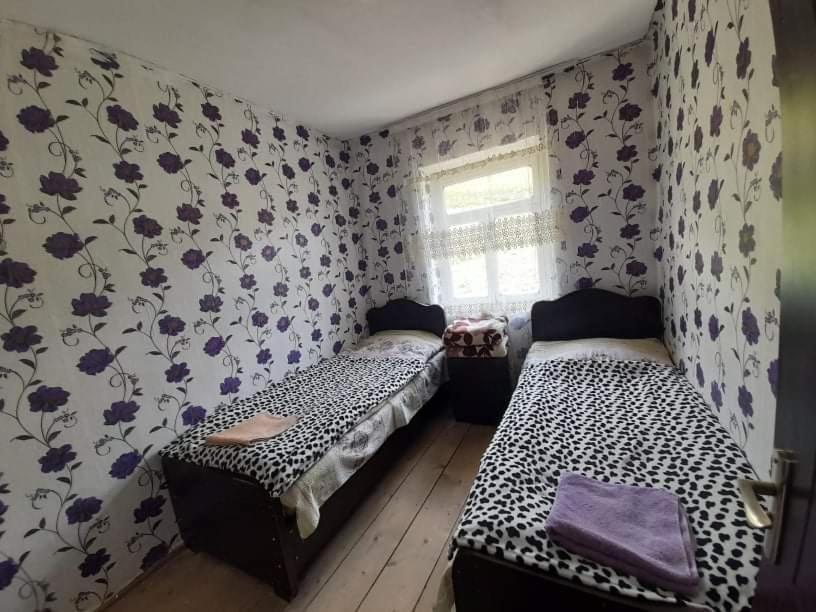 Guesthouse Lika Ushguli Extérieur photo