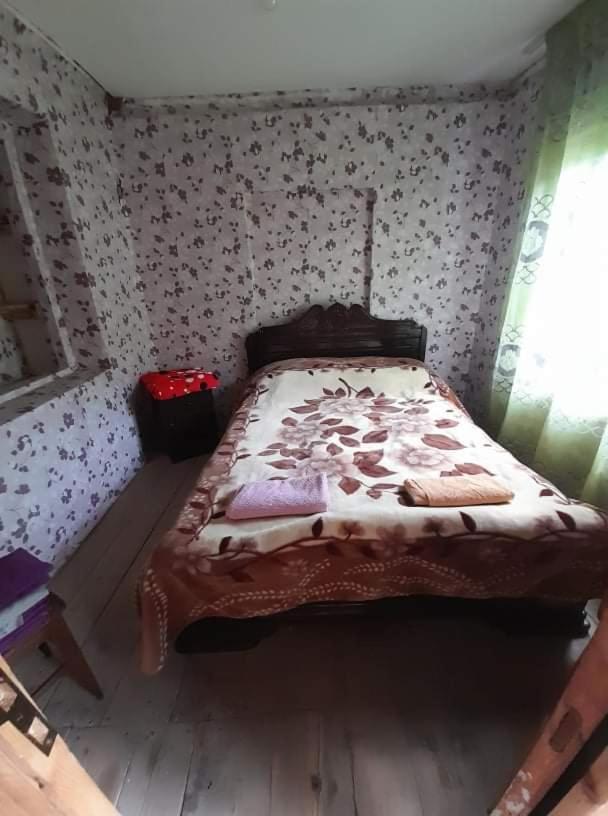 Guesthouse Lika Ushguli Extérieur photo