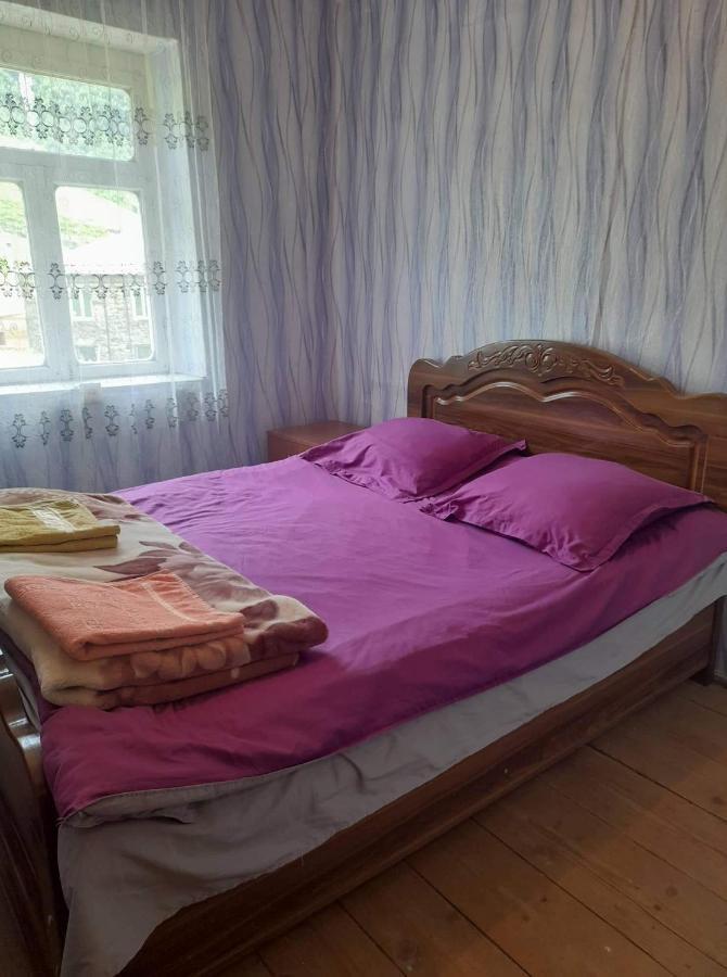 Guesthouse Lika Ushguli Extérieur photo